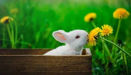 九游娱乐APP-【比赛总结】胜负背后隐藏的战术智慧,比赛有胜负的下一句